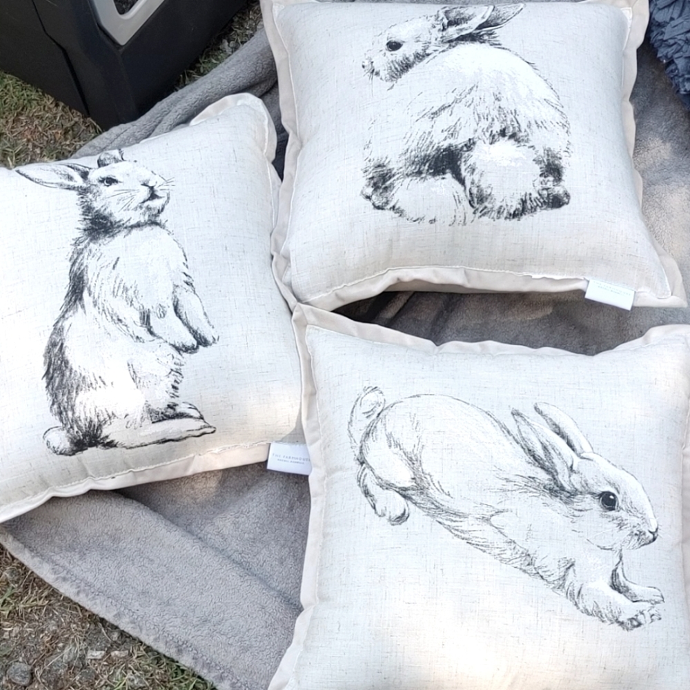 3 Rabbit decor pillows
